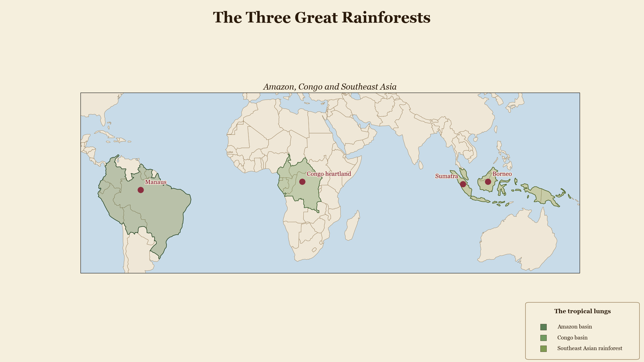 The Three Great Rainforests