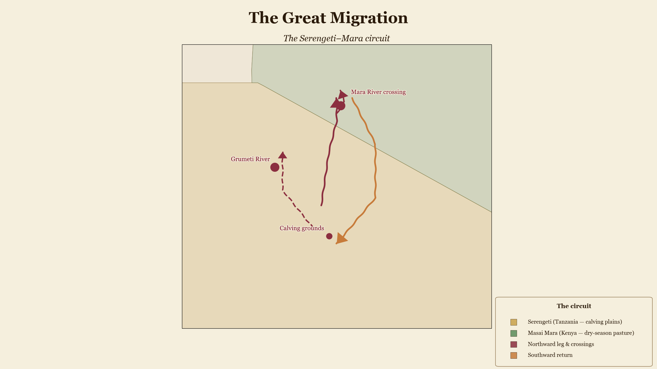 The Great Migration