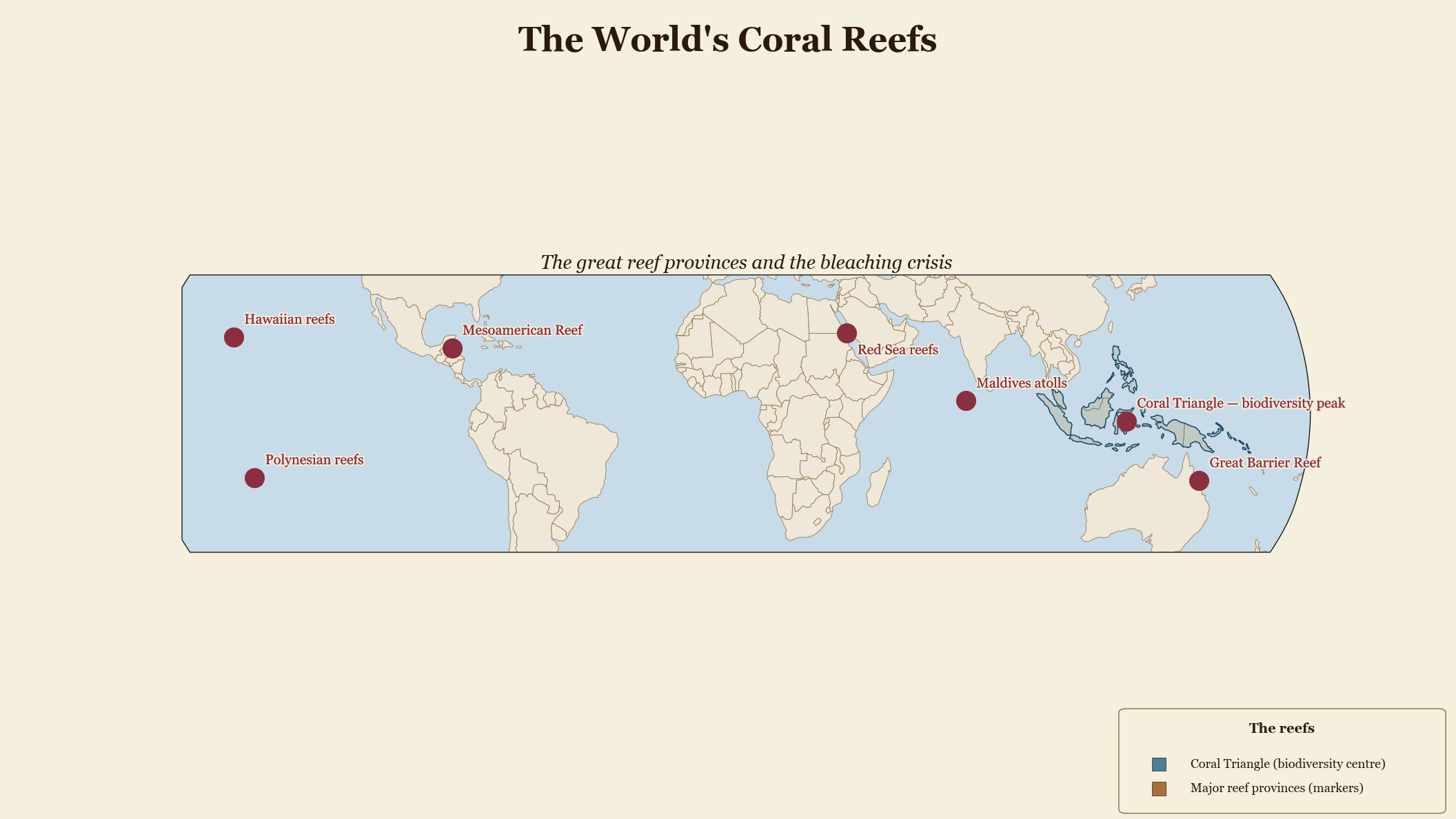 The World's Coral Reefs